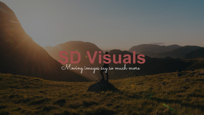 Logo van SD Visuals videography